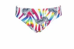 Maillot De Bain Arena Homme Crazy Zebras Brief Multicolor -FRANCE NATATION Soldes 002908 850 m crazy zebras brief 005 f s